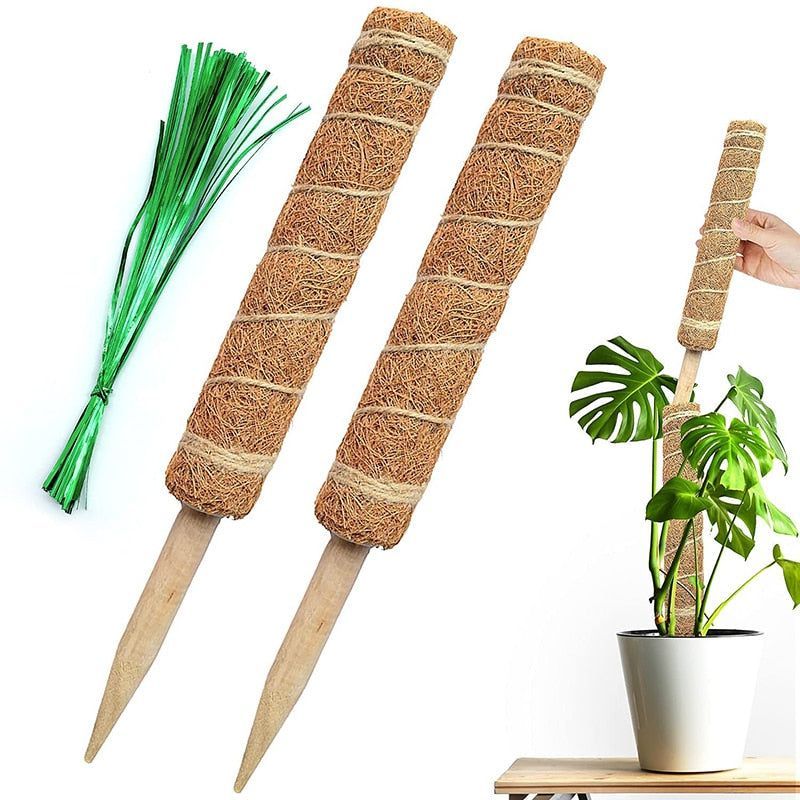 Plant Cages Supports Reusable Plant Climbing Stand Durable Flower Plants Support for Balcony Garden Courtyard Easy to Use 1PC