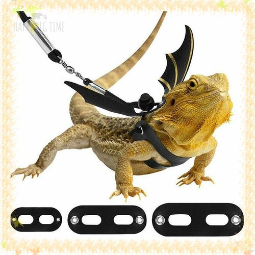 Lizard Leash Reptile Harness for Outdoor Pet Chameleon Squirrel