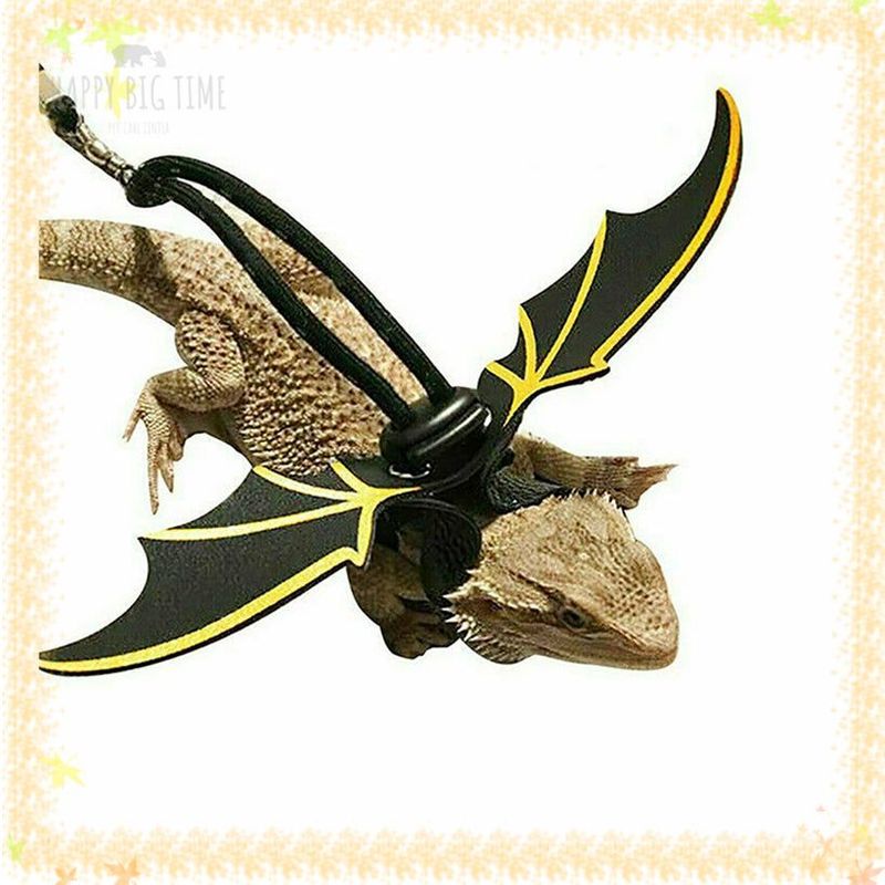 Lizard Leash Reptile Harness for Outdoor Pet Chameleon Squirrel