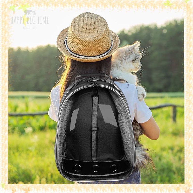 Lightweight Expandable Cat Carrier Clear Bubble Backpack Cat Tote Knapsack Airline Approved Capsule Design