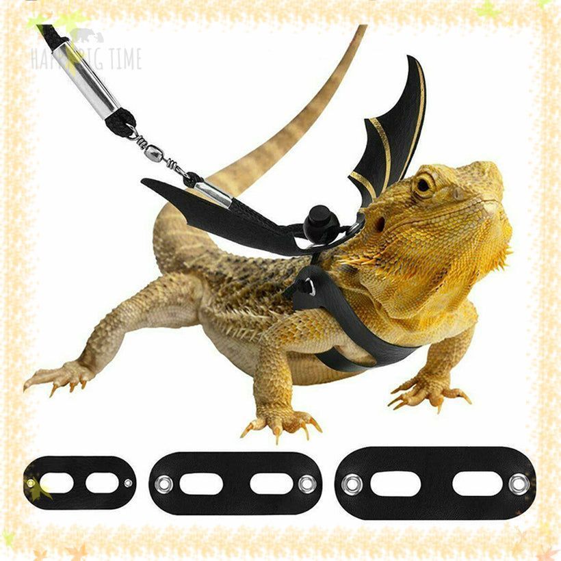 Lizard Leash Reptile Harness for Outdoor Pet Chameleon Squirrel