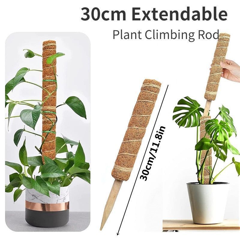 Plant Cages Supports Reusable Plant Climbing Stand Durable Flower Plants Support for Balcony Garden Courtyard Easy to Use 1PC
