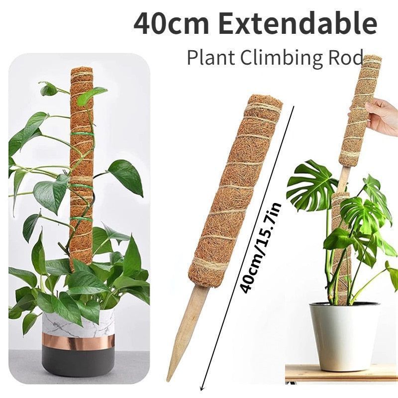Plant Cages Supports Reusable Plant Climbing Stand Durable Flower Plants Support for Balcony Garden Courtyard Easy to Use 1PC