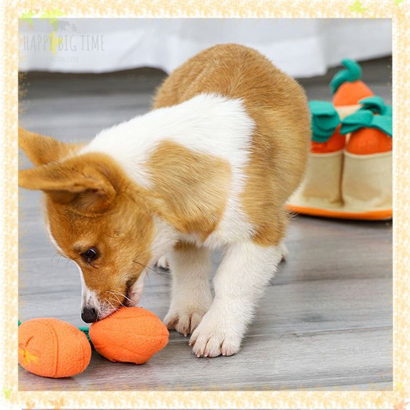 Snuffle Mat for Dogs Slow Feeding Mat Durable Dog Foraging Mat Puzzle Toys Encourages Natural Foraging Skills