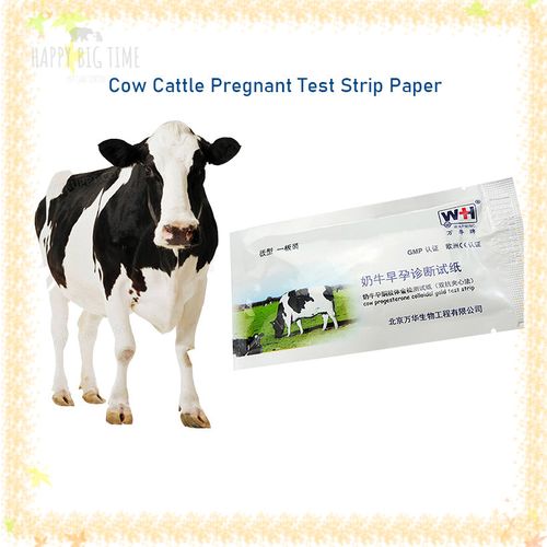 Cow Cattle Pregnant Test Strip Paper