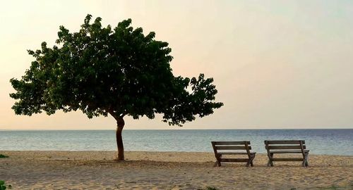 BLACK PLUS SIZE LACE UP SIDE SWIM SHORTS 61